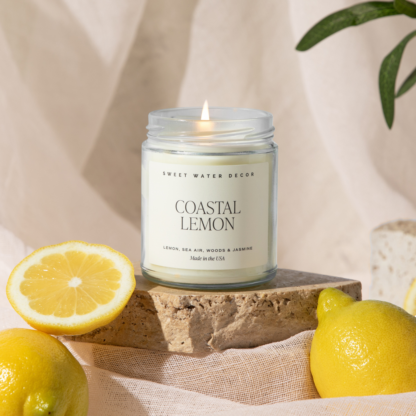 *NEW* Coastal Lemon 9 oz Soy Candle