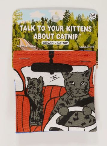 Talk to your Kittens About Catnip Toy