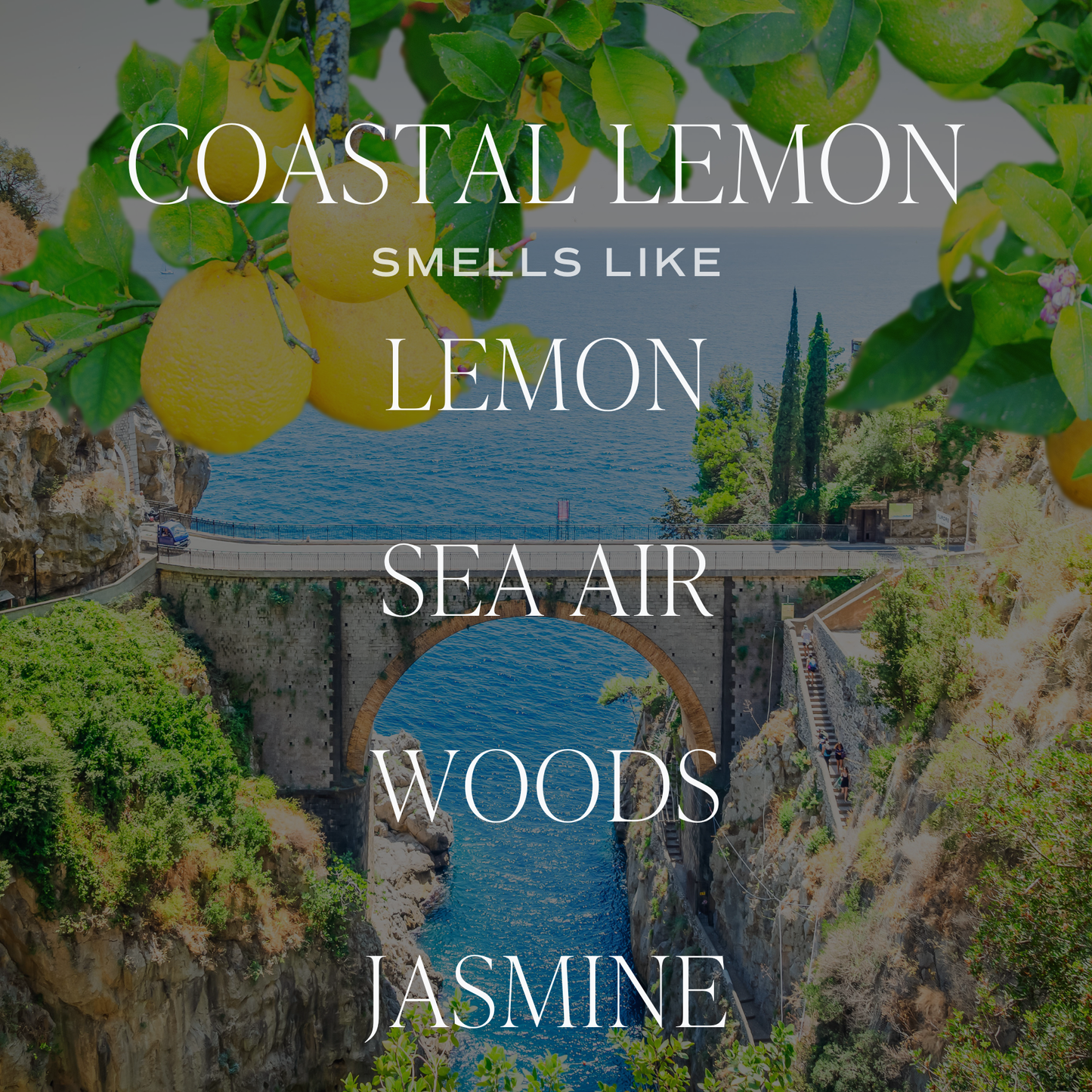 *NEW* Coastal Lemon 9 oz Soy Candle