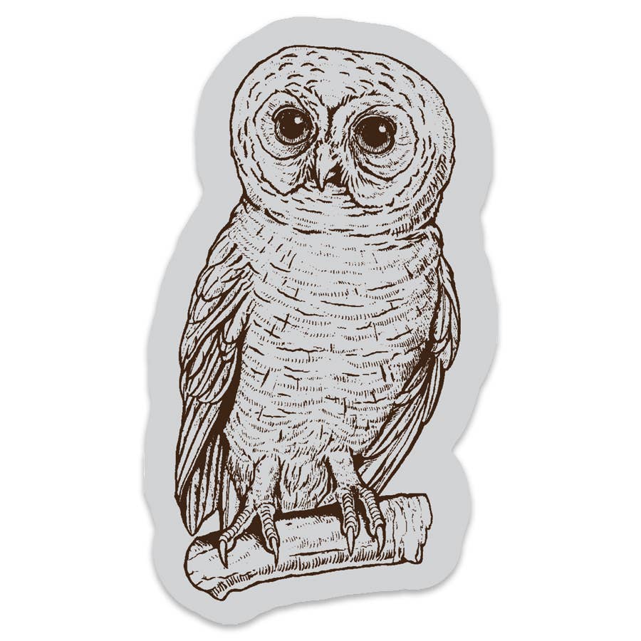 Owl Sticker