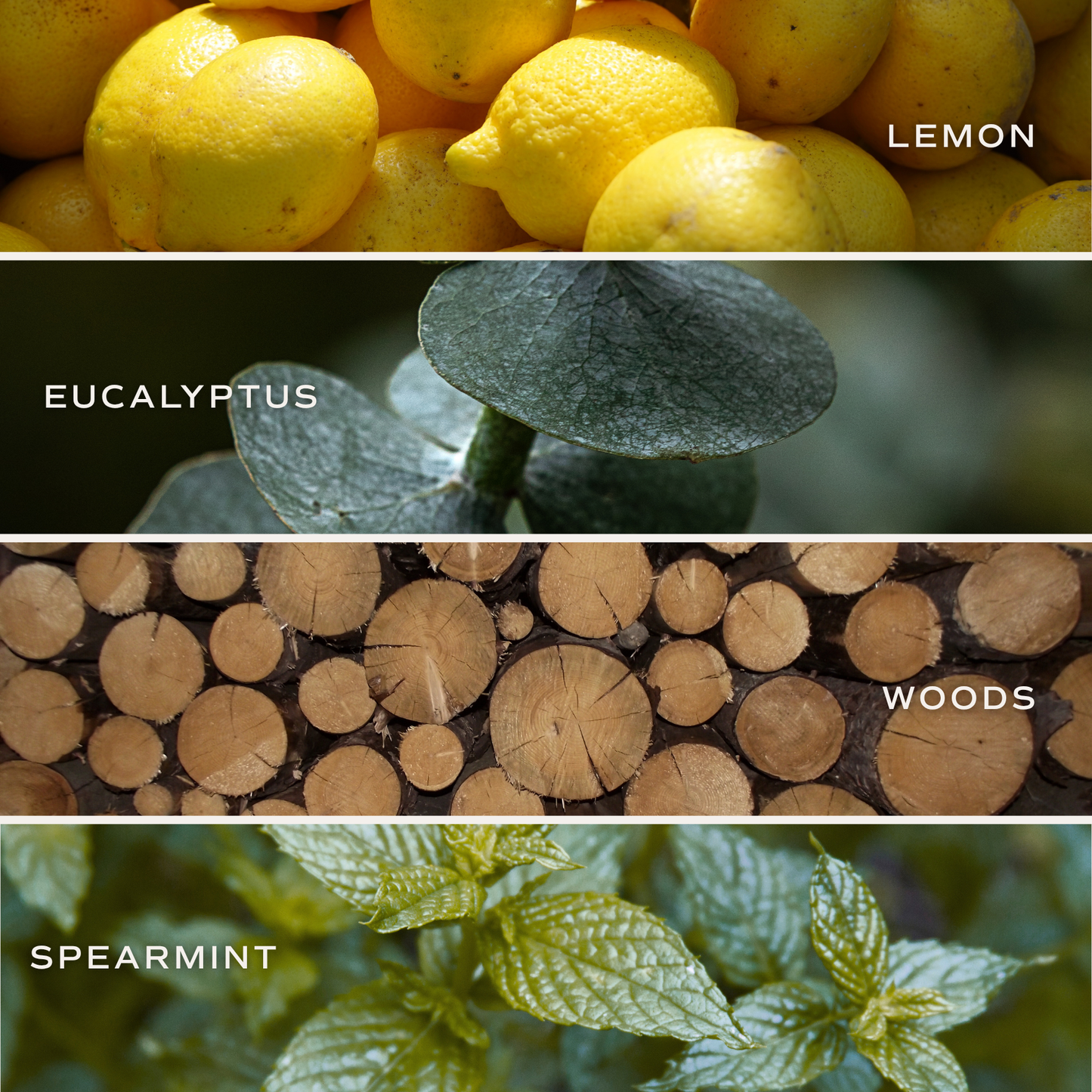 *NEW* Stress Relief 4.6 oz Bath Bomb