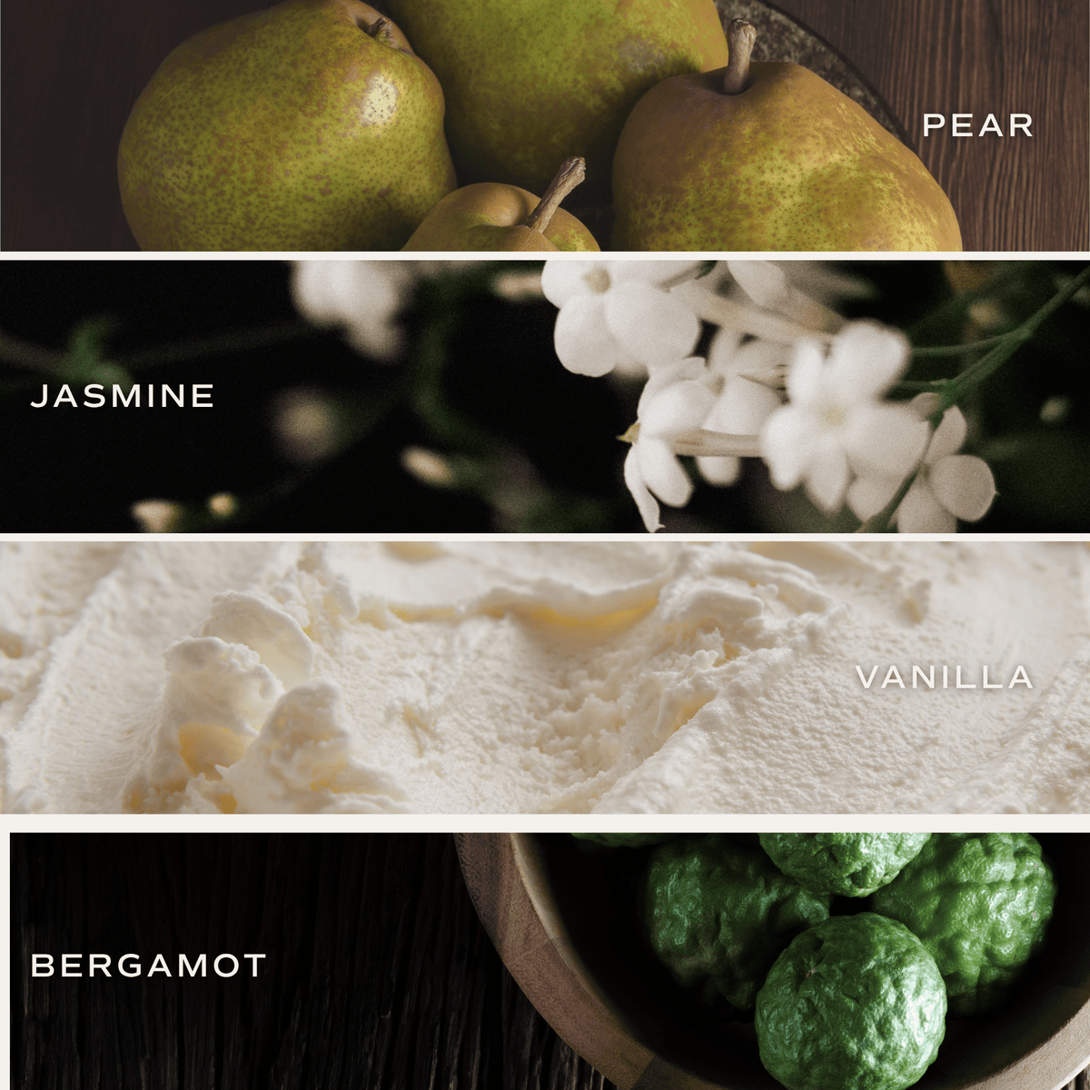 *NEW* Cashmere and Vanilla Reed Diffuser