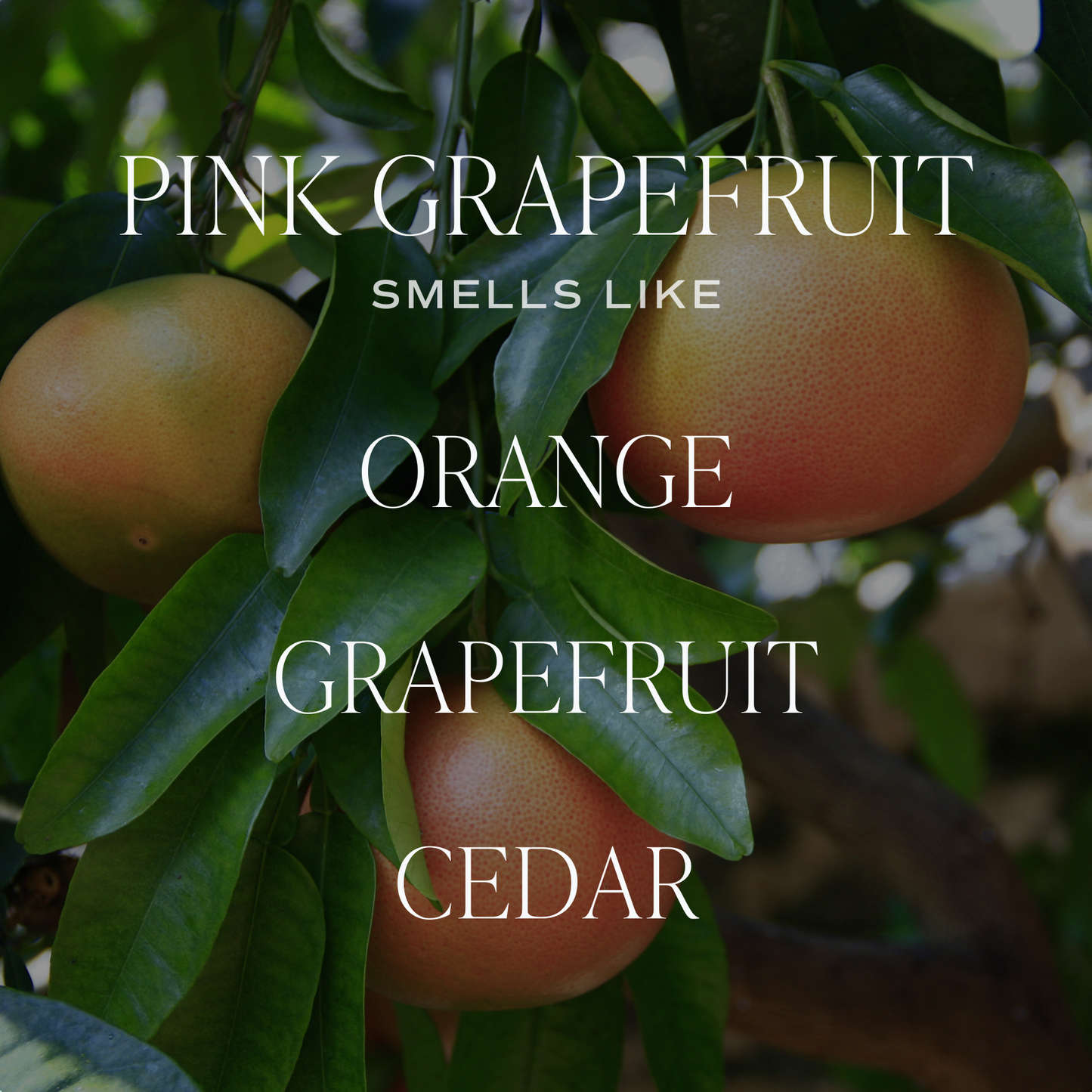 Pink Grapefruit Reed Diffuser