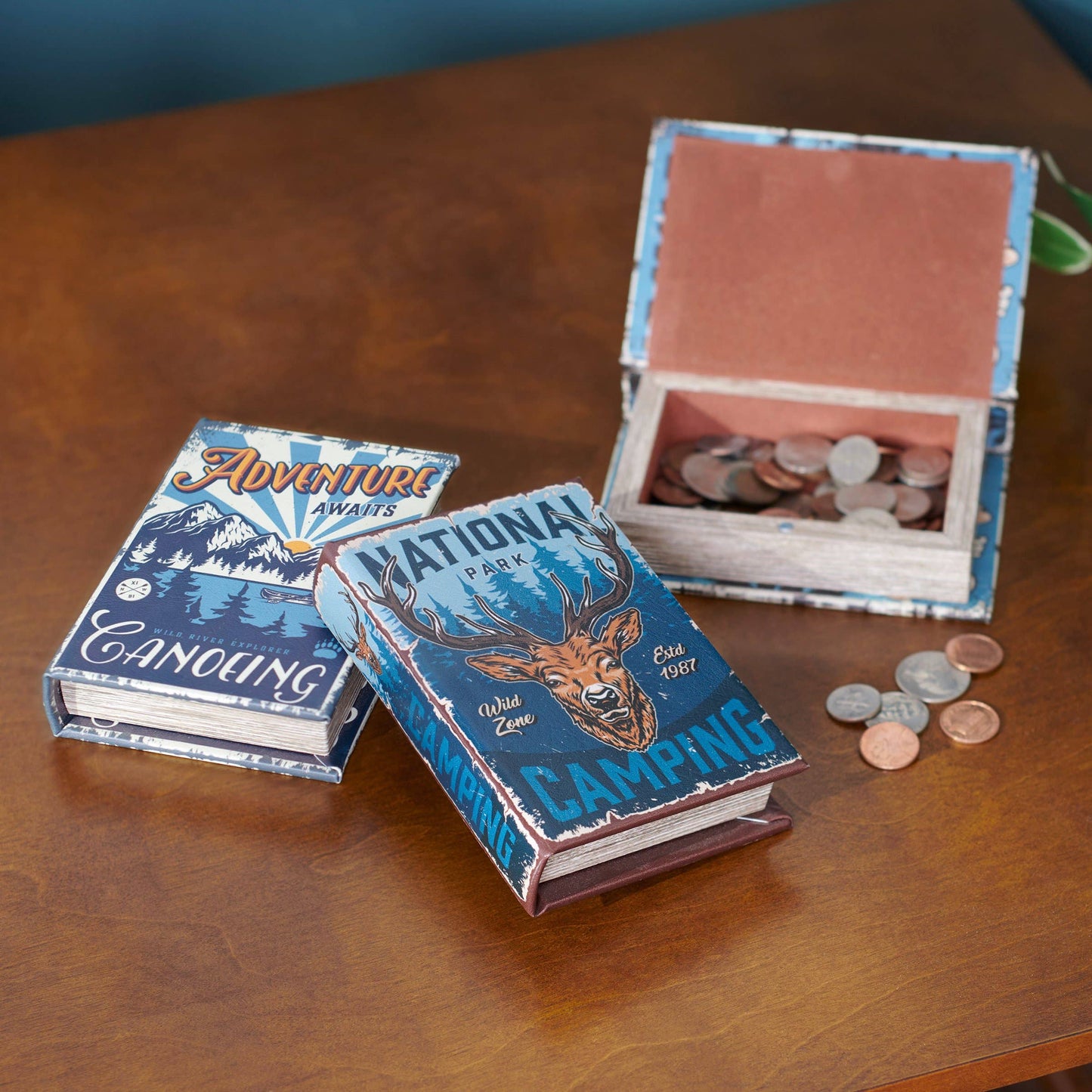 National Park Camping Book Box