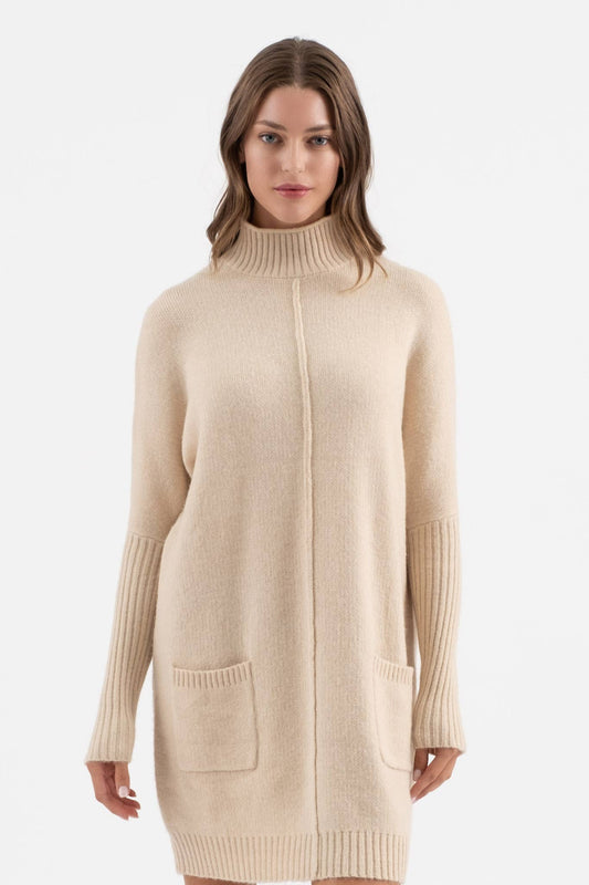 Mock Neck Front Seam Sweater Dress