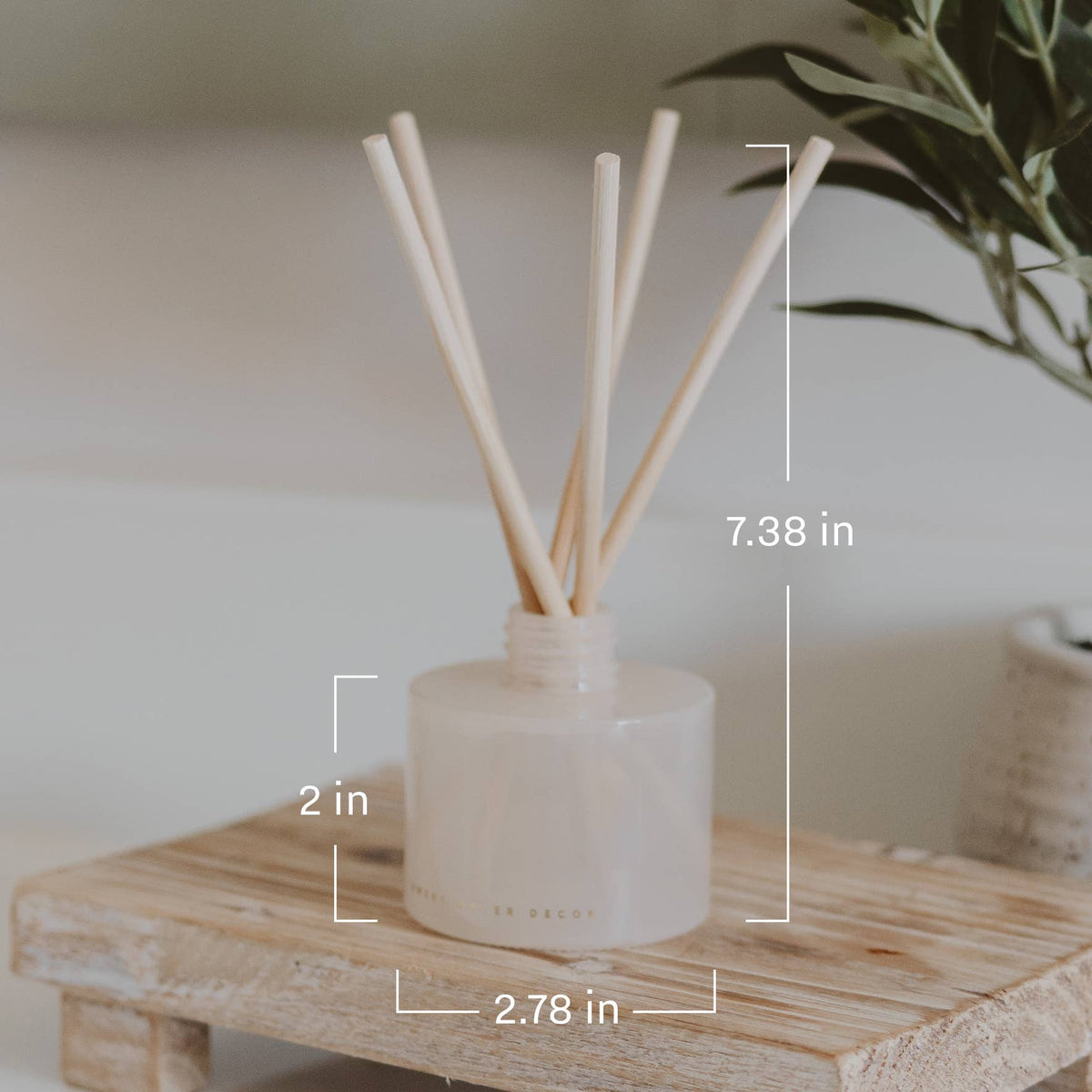 *NEW* Cashmere and Vanilla Reed Diffuser