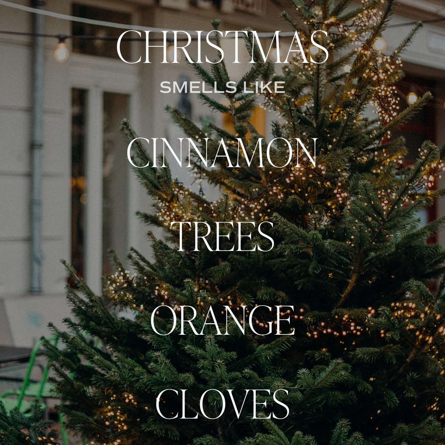 Christmas 9 oz Soy Candle