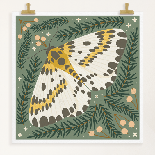 Magpie moth with evergreens art print