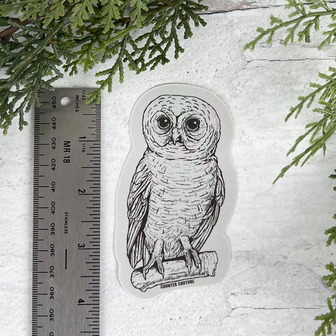 Owl Sticker